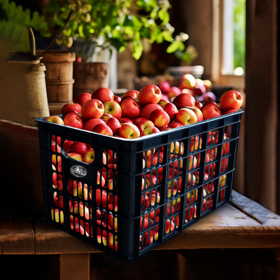Caja Agrícola Chica