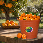 Cubeta Cónica No.12 - Color