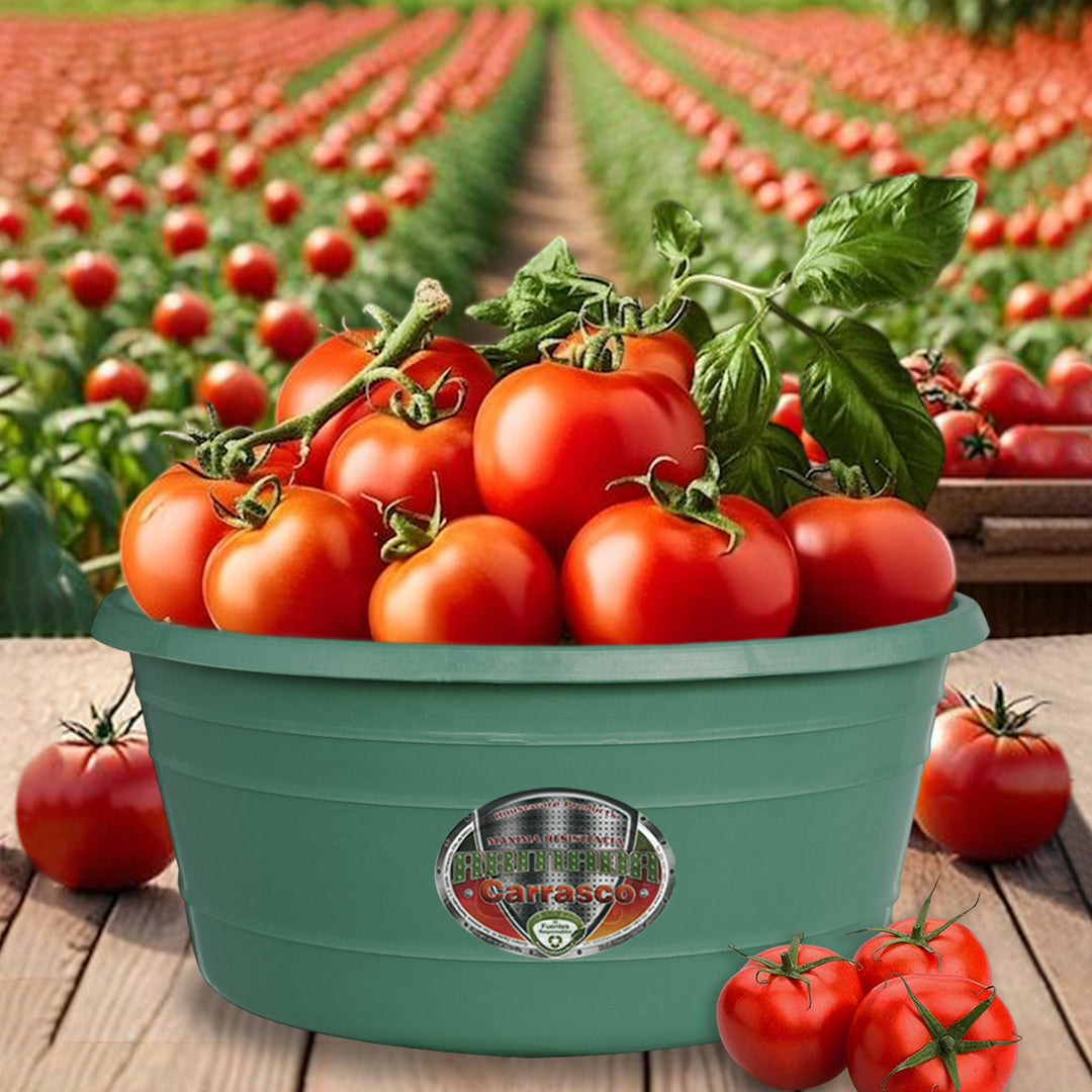 Palangana Yossy No. 16 - Económica